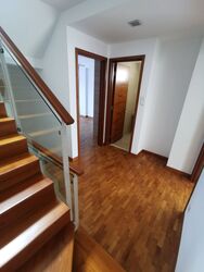 Springleaf Avenue (D26), Terrace #366520961